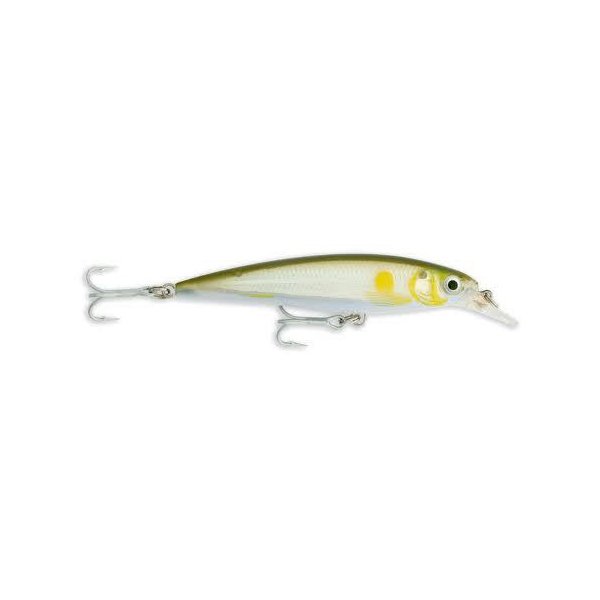 Isca Rapala X-Rap SXR-10 10cm 13g Cor:BSRD