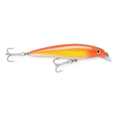 Isca Rapala X-Rap SXR-10 10cm 13g Cor:BSRD